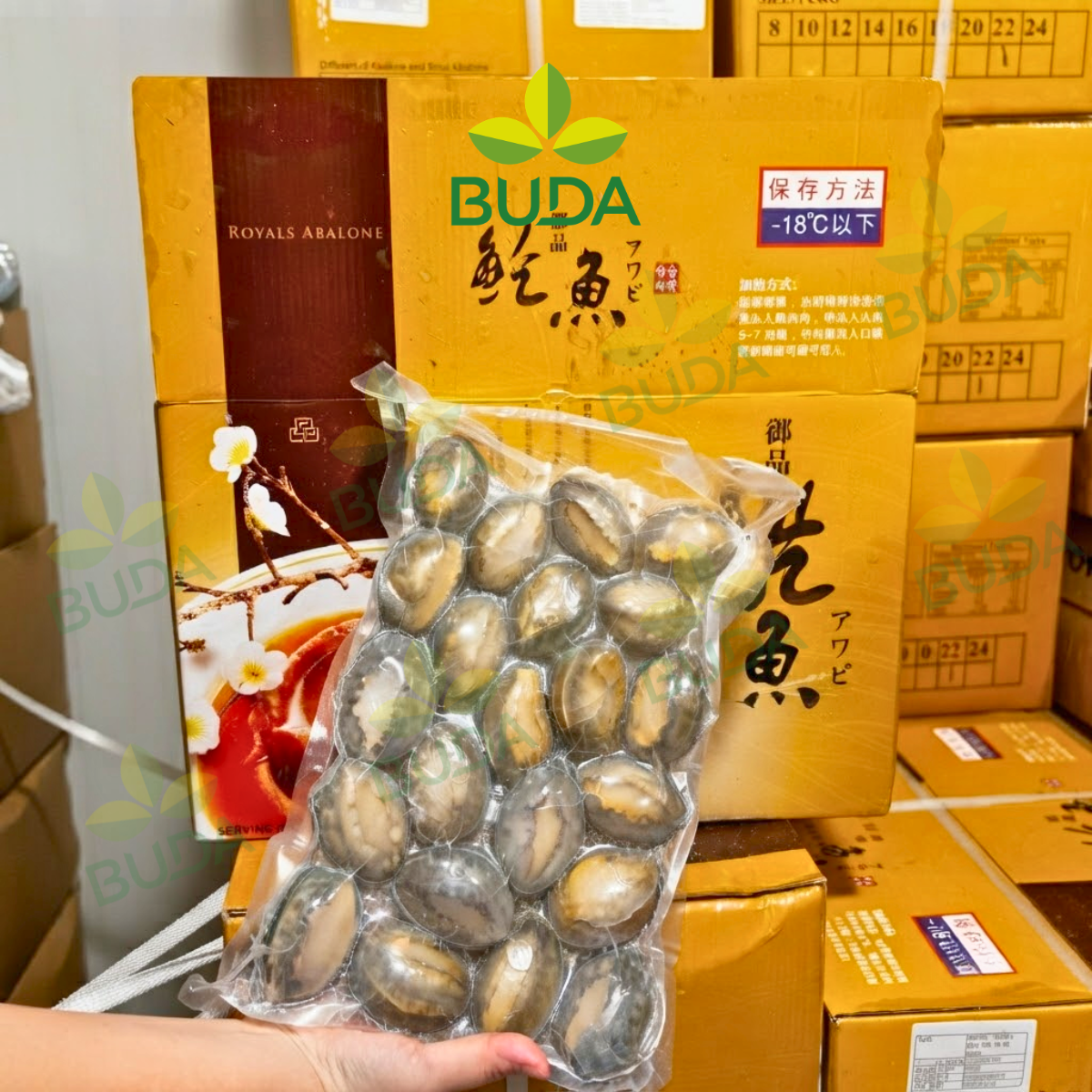 Bào Ngư 22 con/kg Nguyên Vỏ Đông Lạnh Royals Abalone 1Kg/gói NET 5.5 - Cung cấp sỉ & lẻ