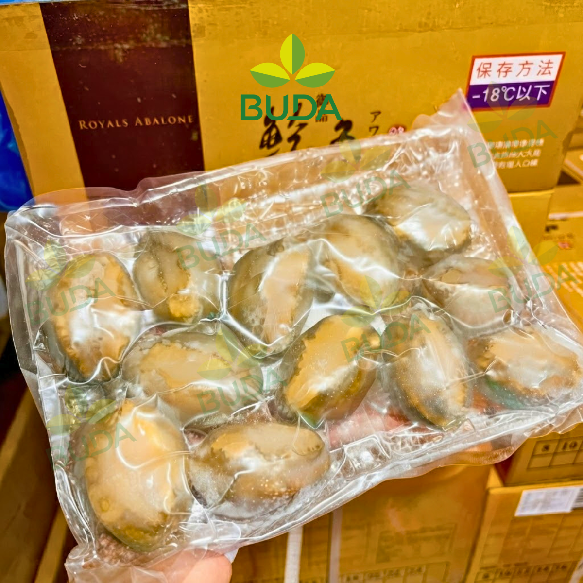 Bào Ngư 12 con/kg Nguyên Vỏ Đông Lạnh Royals Abalone 1Kg/gói NET 5.5 - Cung cấp sỉ & lẻ