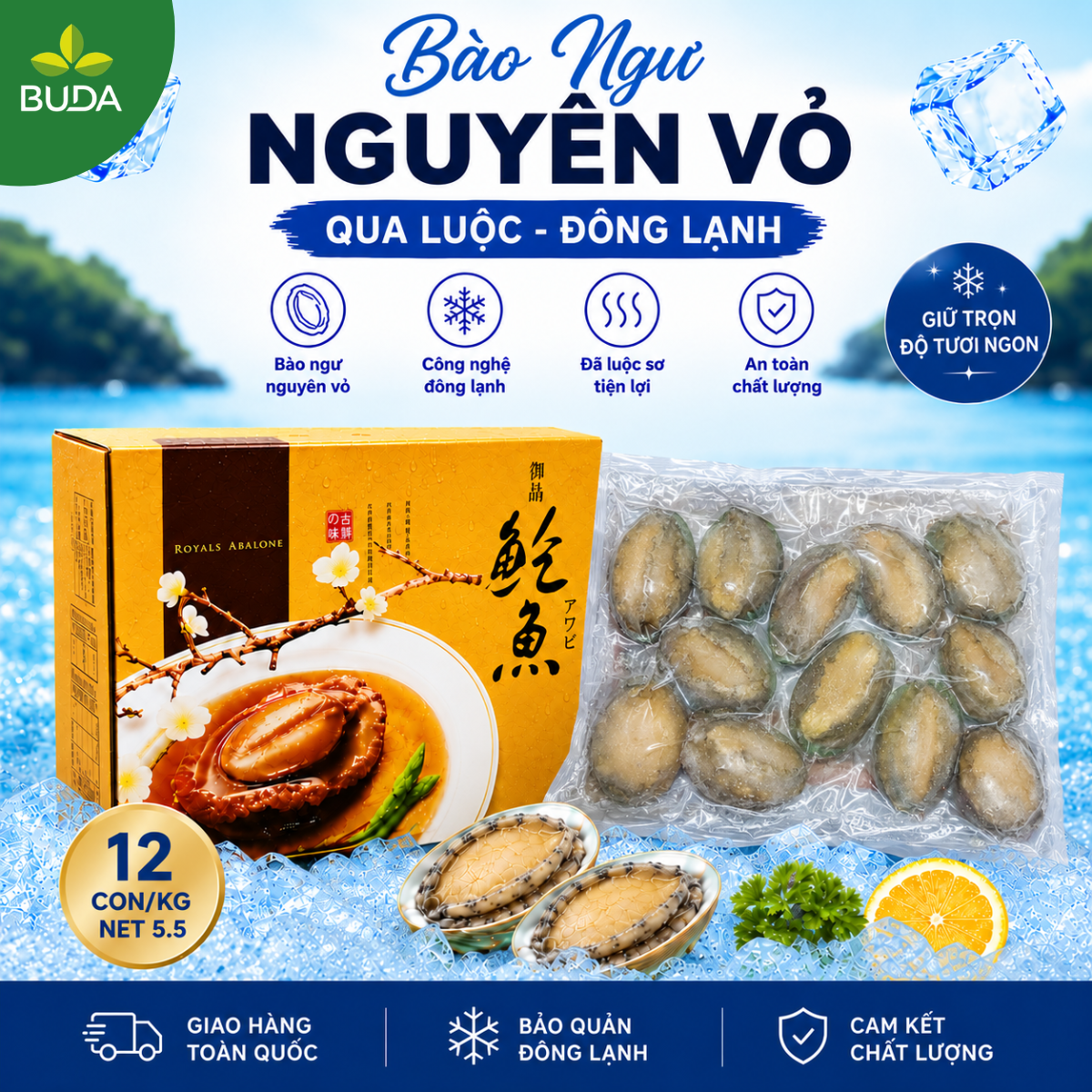 Bào Ngư 12 con/kg Nguyên Vỏ Đông Lạnh Royals Abalone 1Kg/gói NET 5.5 - Cung cấp sỉ & lẻ