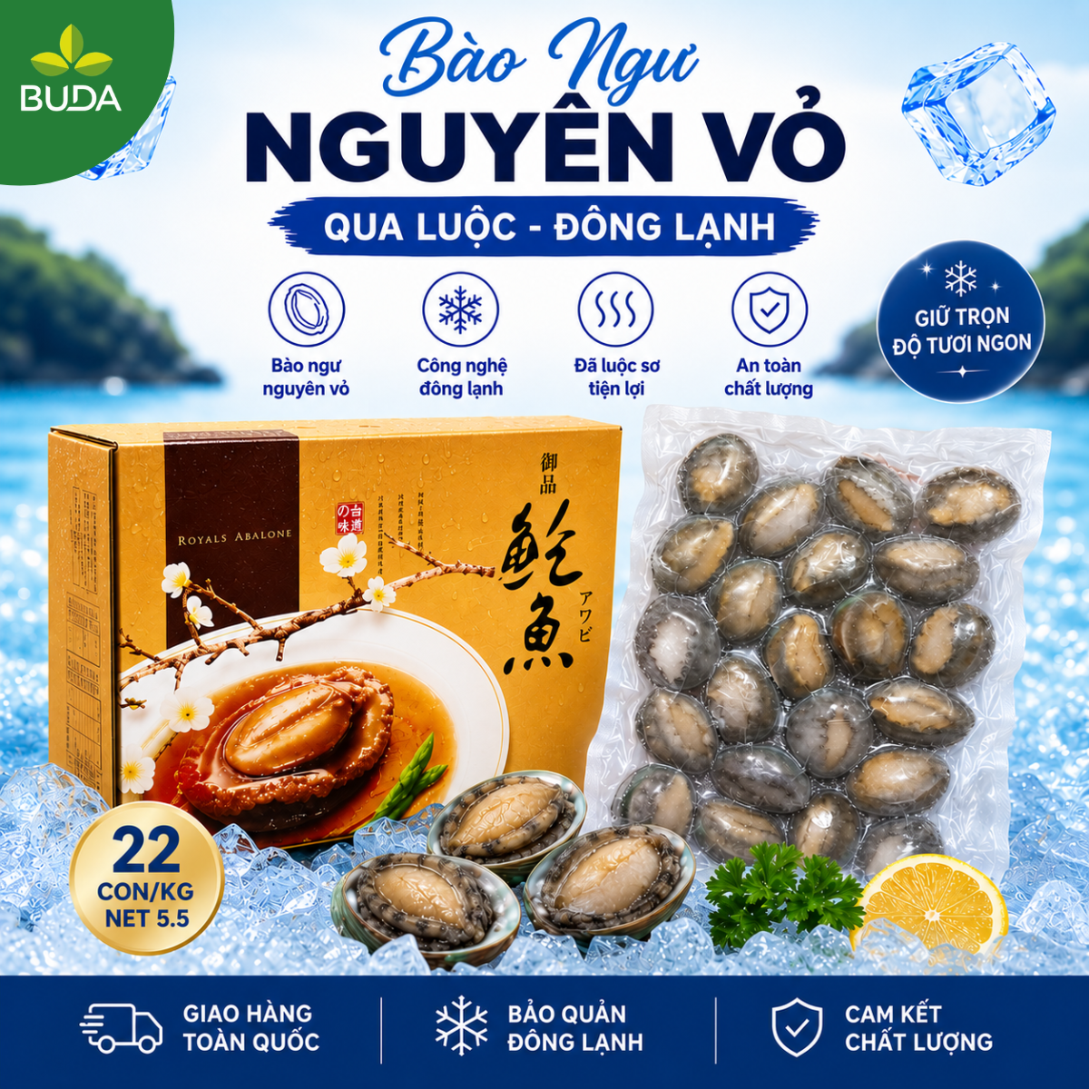 Bào Ngư 22 con/kg Nguyên Vỏ Đông Lạnh Royals Abalone 1Kg/gói NET 5.5 - Cung cấp sỉ & lẻ